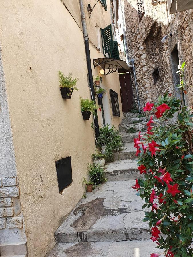 House Gorica